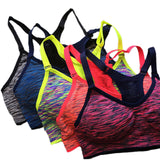 Quick Dry Push Up Sports Bra, Padded & Wire Free